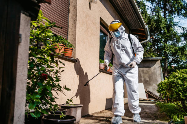 Best Flea Control Services  in Salyersville, KY