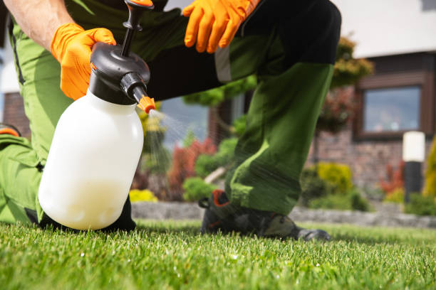 Best Ant Control Services  in Salyersville, KY