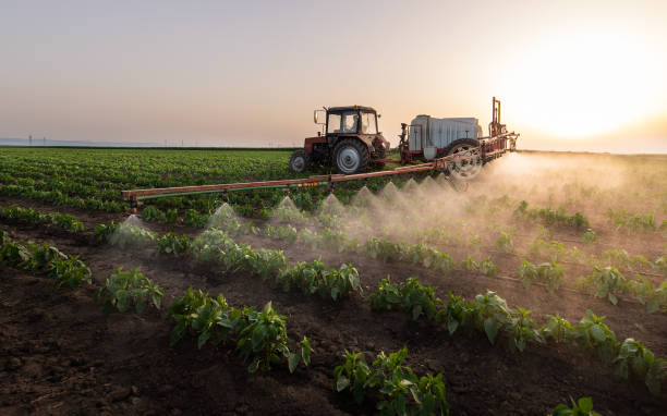 Best Pest Prevention Services  in Salyersville, KY