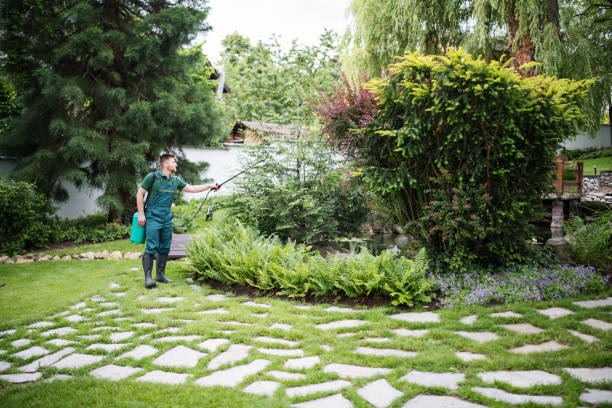 Best Pest Control Near Me  in Salyersville, KY