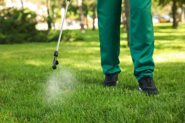 Best Wasp Removal Services  in Salyersville, KY