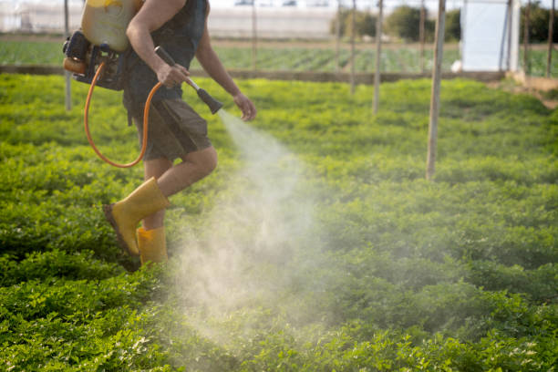 Best Best Pest Control Companies  in Salyersville, KY