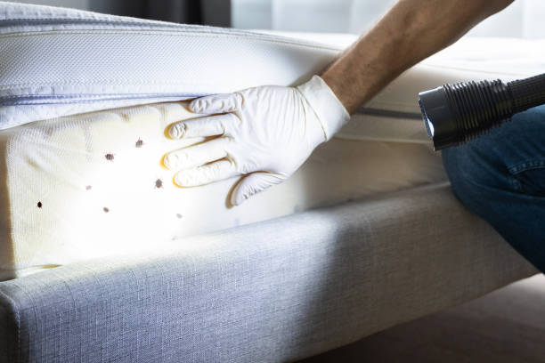 Best Pest Control for Businesses  in Salyersville, KY