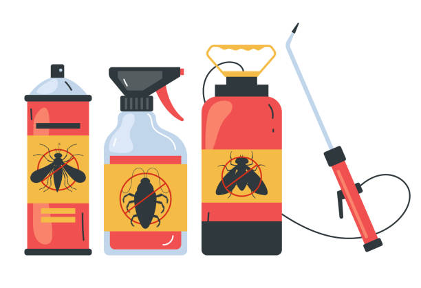 Best Spider Control Near Me  in Salyersville, KY