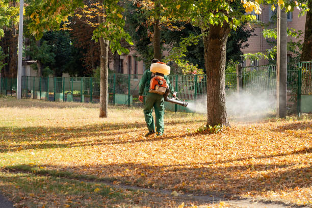 Best Emergency Pest Control  in Salyersville, KY
