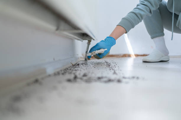 Best Cockroach Control Services  in Salyersville, KY