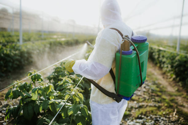 Best Exterminator Services  in Salyersville, KY